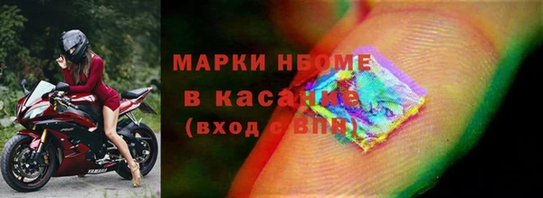 гашик Майский