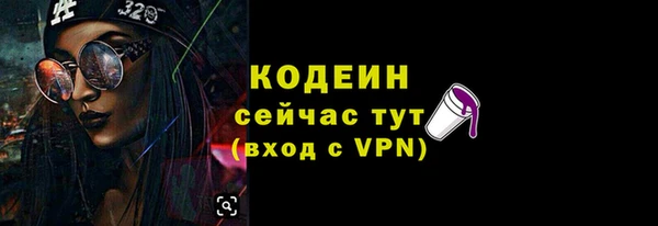 гашик Майский