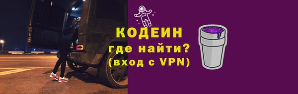 гашик Майский