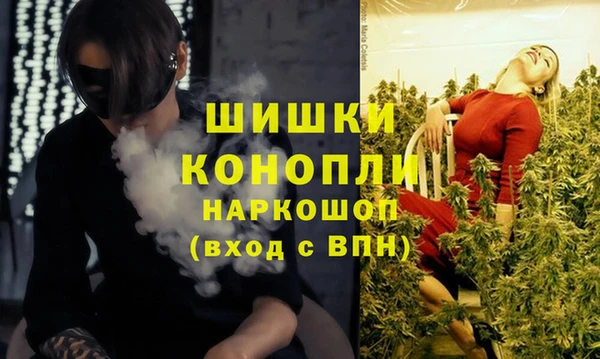 прущая мука Магас