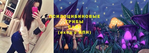 гашик Майский