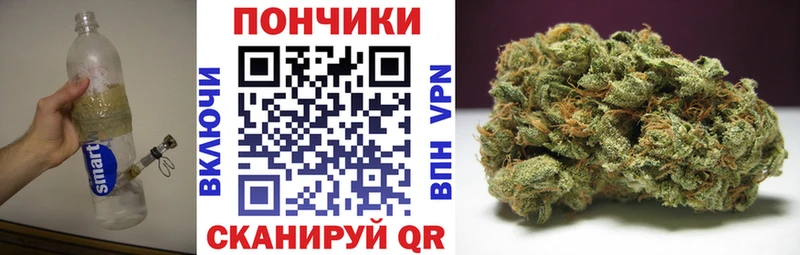 цены   Нижнекамск  Бошки марихуана сатива 